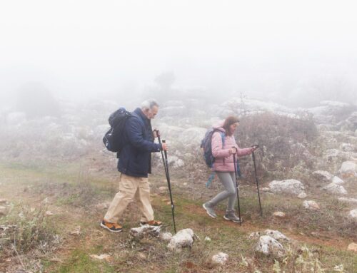 Bastão de Caminhada para Trekking: Dicas Essenciais para Escolher e Usar o Seu