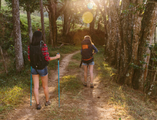 Caminhadas Ecológicas: Estratégias para um Trekking Sustentável