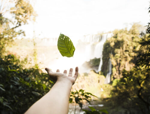 Por Que a Preservação nas Trilhas é Fundamental para Trekkers