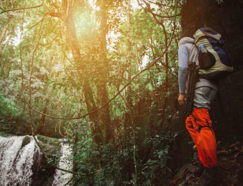 Vida Selvagem e Trekking: Como Aproveitar a Natureza de Forma Sustentável e Segura